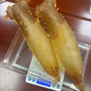 高價回收花膠 回收赤嘴膠-蜘蛛膠-即日上門收花膠