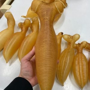 收購各種花膠-香港老字號海味回收公司