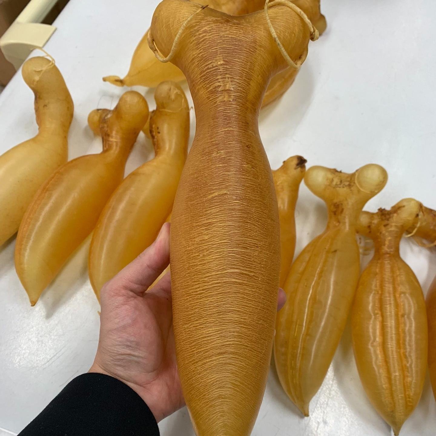 收購各種花膠-香港老字號海味回收公司