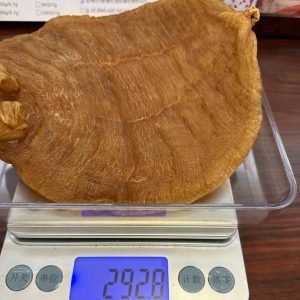 高價回收花膠乾貨海味