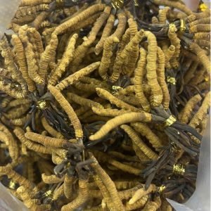香港高價回收冬蟲夏草 那曲西藏蟲草全港最高價回收