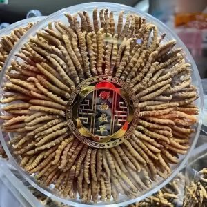 全港回收蟲草天花板價 閑置那曲冬蟲草即日過數